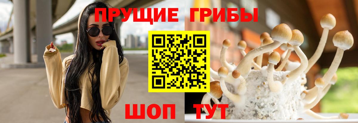 Галлюциногенные грибы Psilocybe  Вход с VPN  закладка  Славгород 